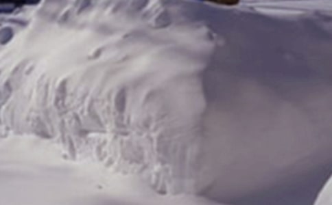 雪灾应急演练预案