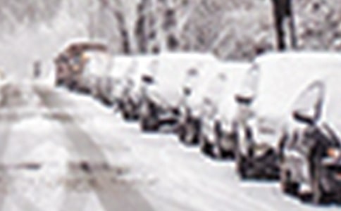 ·ÀÑ©ÔÖÓ¦¼±Ô¤°¸