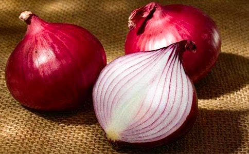 【优秀】洋葱头历险记读后感15篇