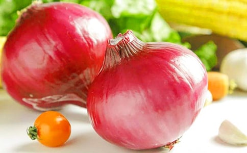 洋葱头历险记读后感精选14篇