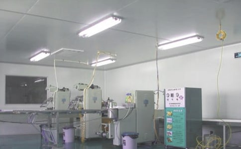 药厂实习周记集合5篇