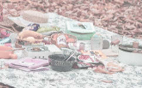 有趣的野餐作文(精选7篇)