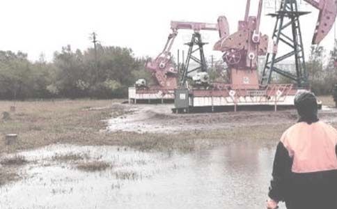 油田单位生产实习生工作总结