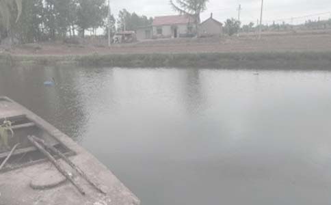 私人鱼塘租赁简单合同(精选9篇)