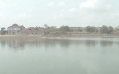 鱼塘承包合同范文合集十篇