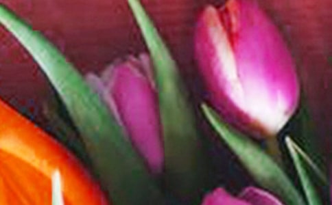 我和郁金香花精的故事作文