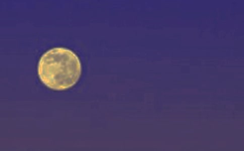 又是一年月圆时小学优秀作文