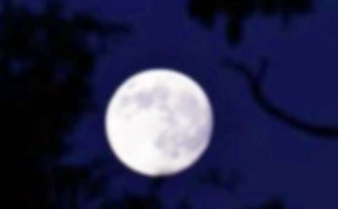 月圆人更圆作文(通用25篇)