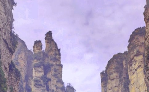 (精华)美丽的张家界作文15篇