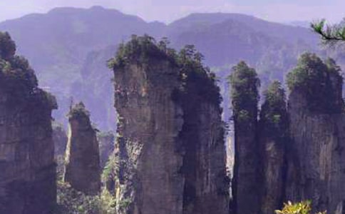 美丽的张家界作文优选(15篇)