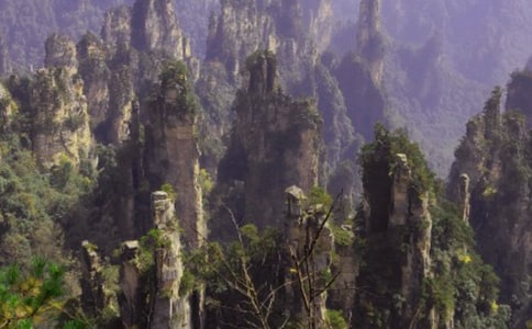 介绍张家界导游词