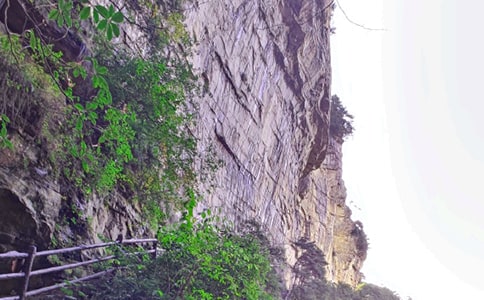 美丽的张家界作文