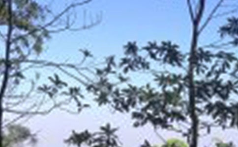 适合中午发的朋友圈短句