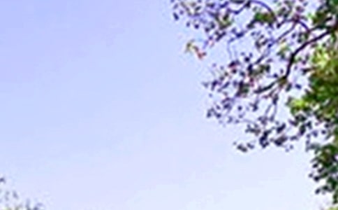 发生在星期四中午的一件事初三作文