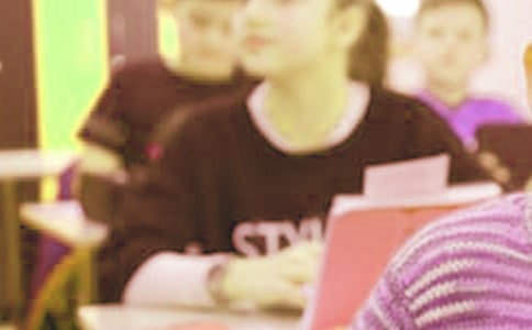 错中学生500字作文