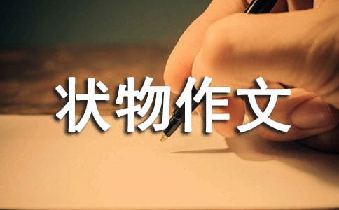 有关状物作文300字集合8篇