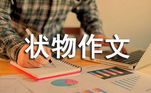 两篇写雨的状物作文