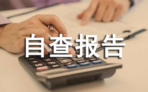 小班师风师德自查报告