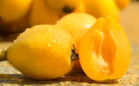 故乡的枇杷树作文