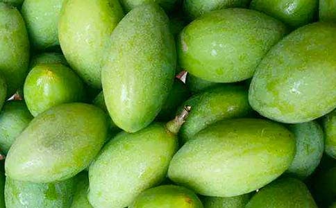 我也衔过一枚青橄榄优秀学生作文