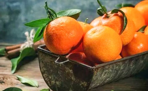 (合集)我喜欢吃橘子作文11篇