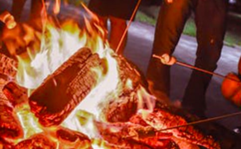 篝火晚会的开幕词